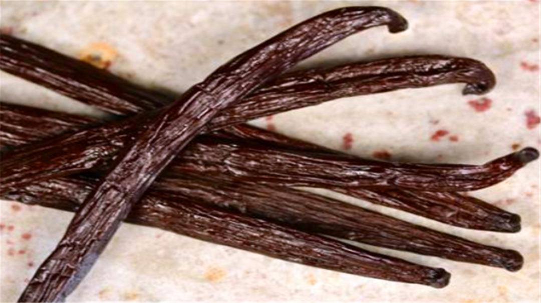 香草的味道本来是臭的？还是世界上最贵的香料，太出乎意外了