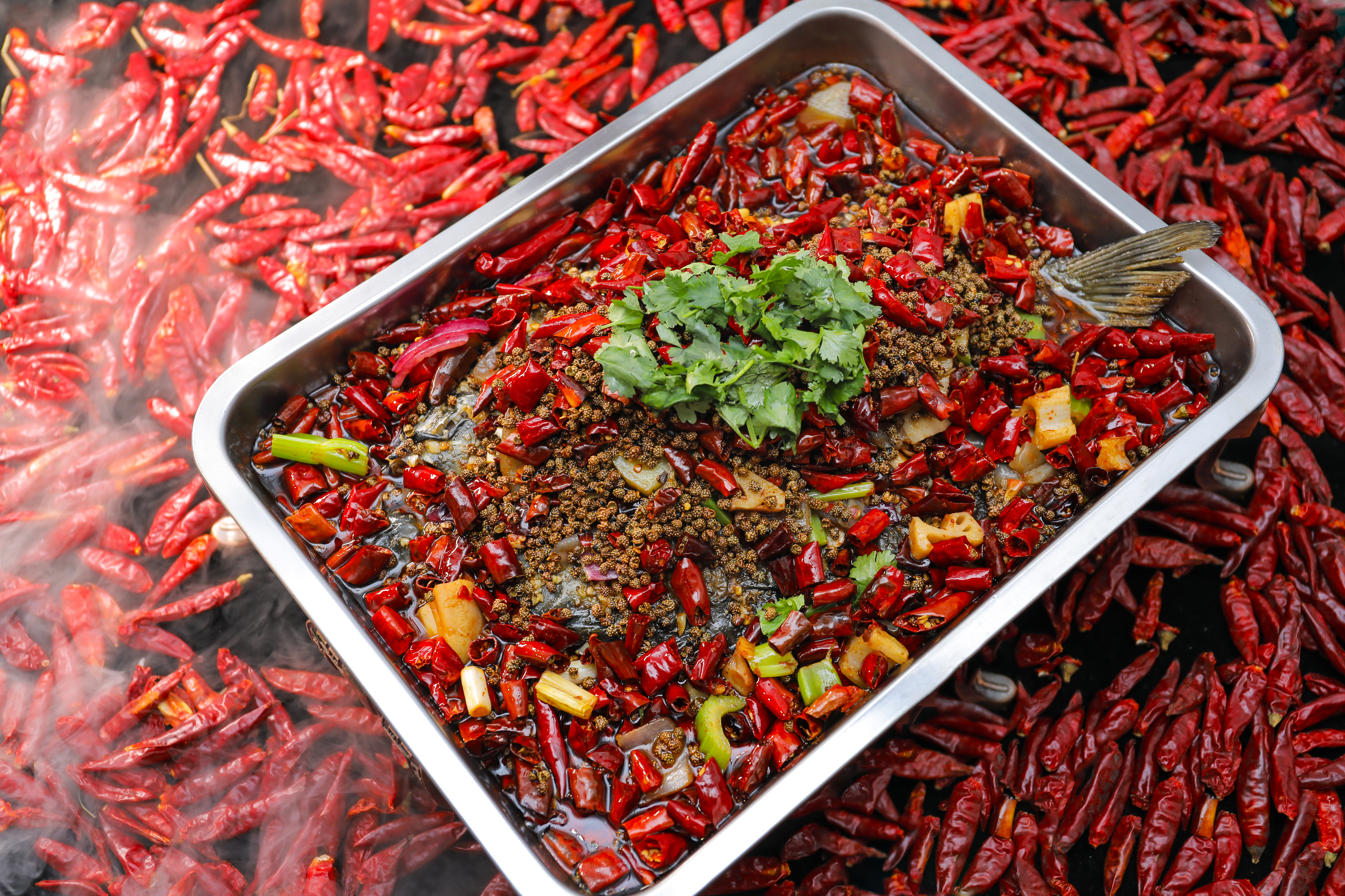 谭记王正宗万州烤鱼加盟,谭记王正宗万州烤鱼