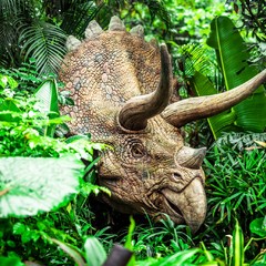 长隆野生动物世界营业时间,广州长隆野生动物园要玩多久