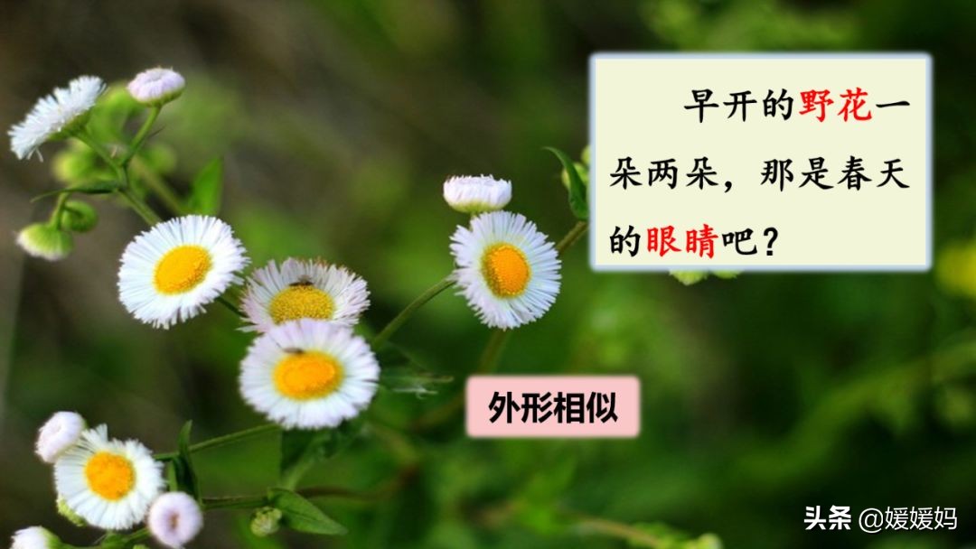 找春天二年级下册仿写第8自然段,找春天二年级下册朗读123自然段