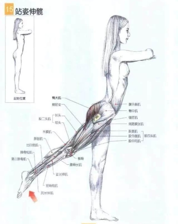 久坐腰骶麻木疼活动后减轻,久坐导致腰骶部疼吃什么药