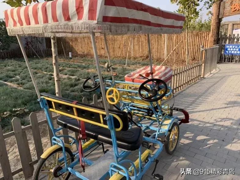 三轮车的进化史,国产三轮车进化史