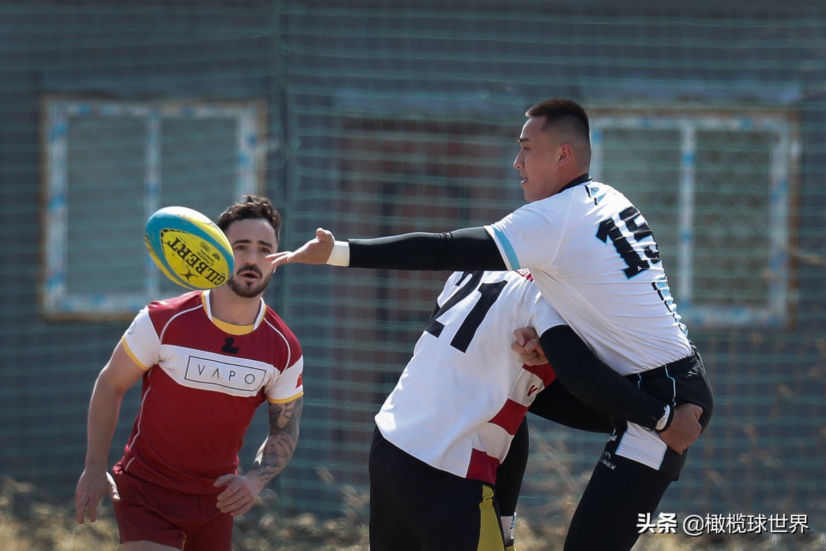 英式橄榄球今日赛程,2023年英式橄榄球中日韩青年比赛