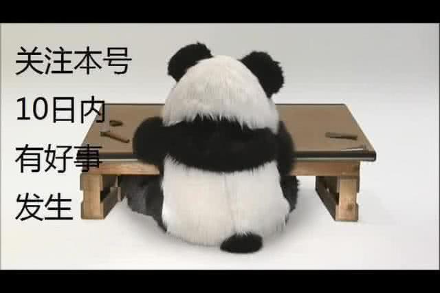 国奥vs冰岛中国队,冰岛对中国足球比分