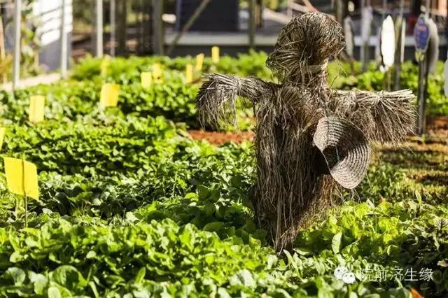 厦门同安周末踏青好去处,厦门岛内踏青景点大全