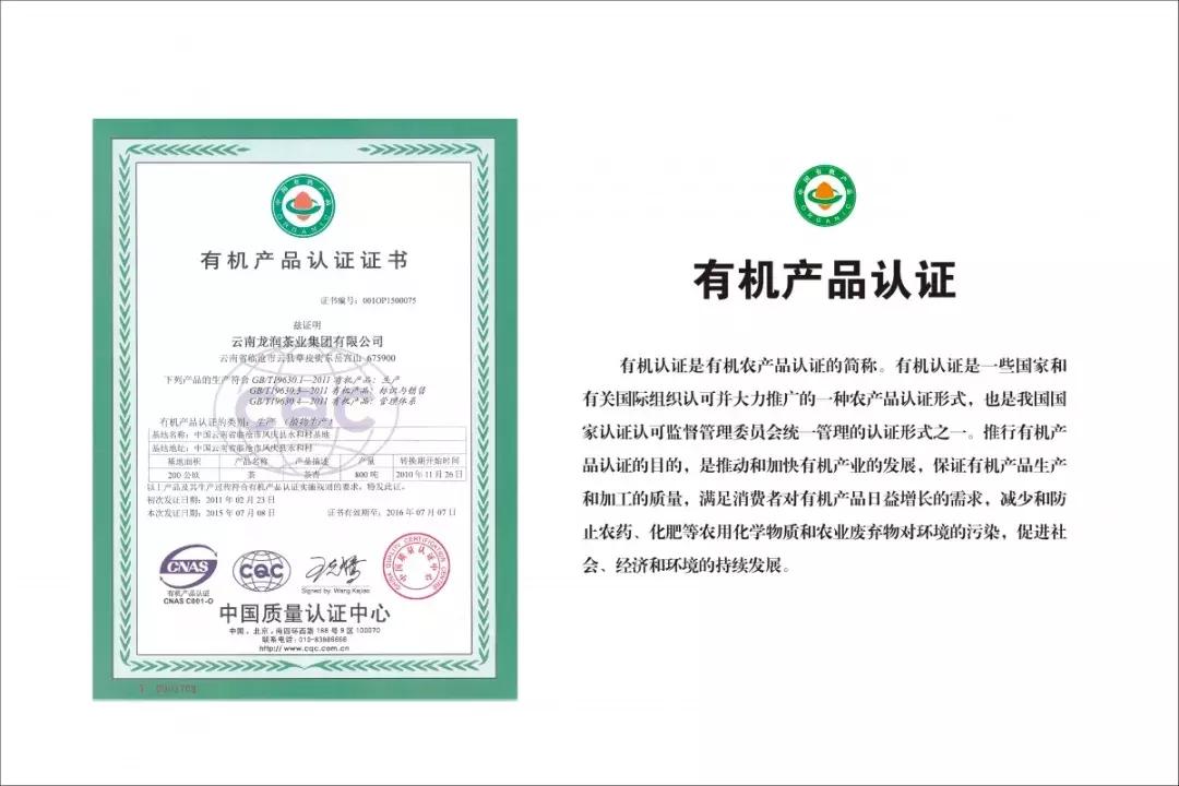 龙润集团招聘合伙人吗,龙润集团年会