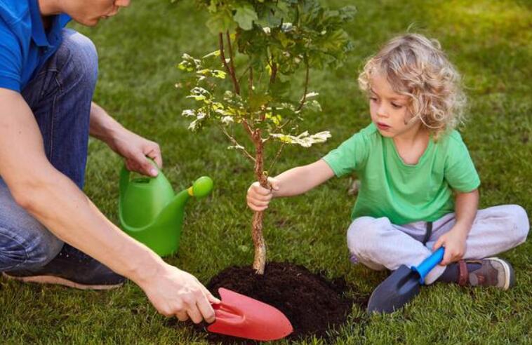 各种血型配对的小孩是什么血型,不同的血型与不同血型孩子的性格