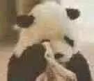 脱毛干货合集,史上最全脱毛仪