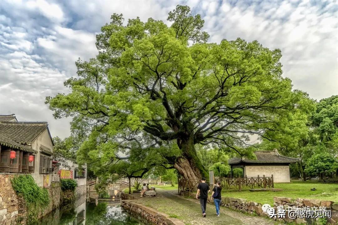 苏州乡村旅游景点大全排名,苏州乡村旅游小镇有哪些