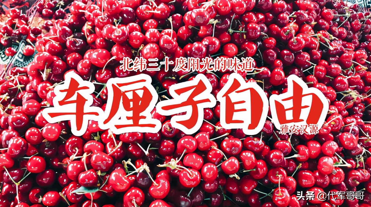 2020十大网络热搜流行语,2023年十大网络流行语排行榜最新