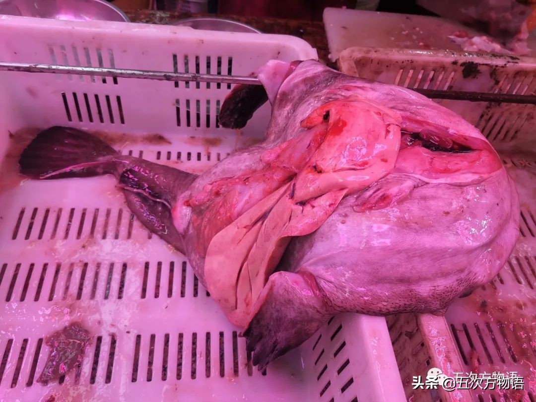 青岛菜市场分布图,青岛海鲜市场价格表今日