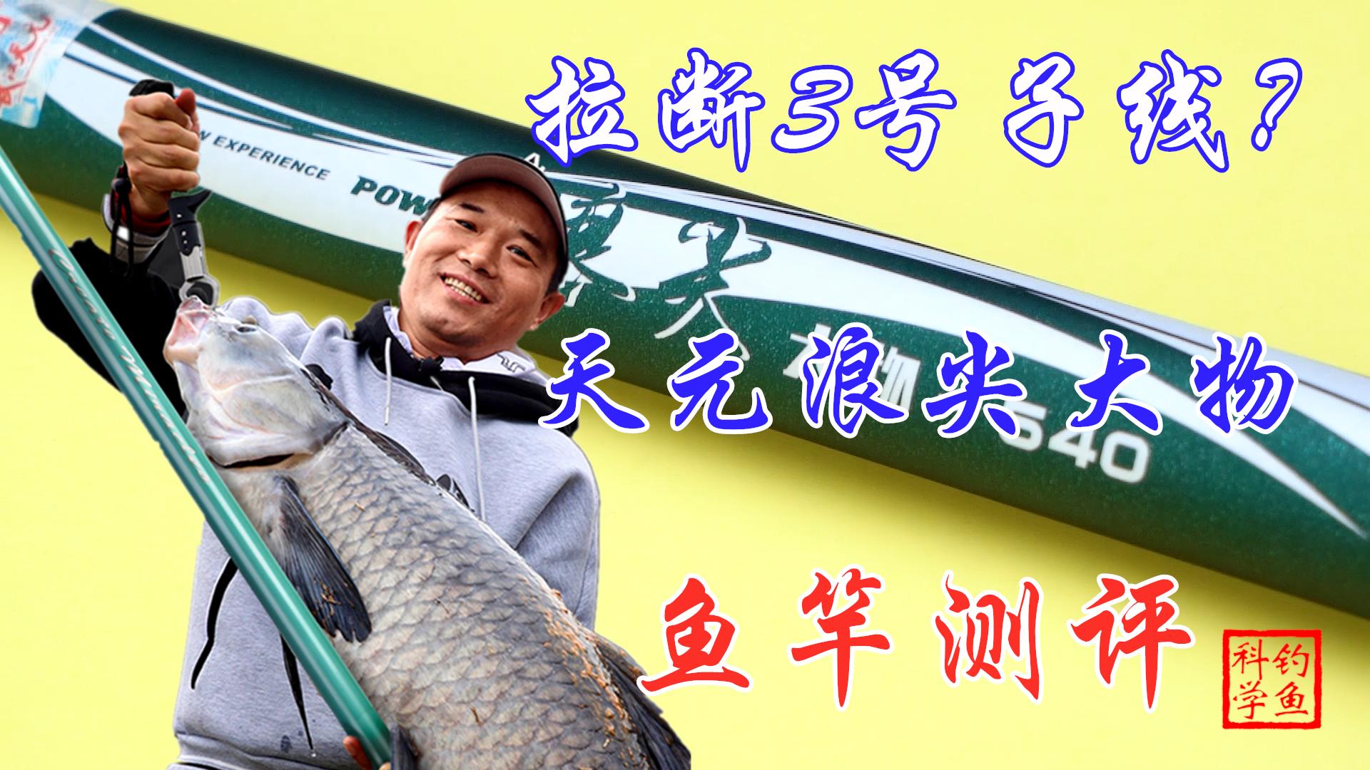 2021年钓友公认十款最好鱼竿7米2,2021年公认最好的十款鱼竿