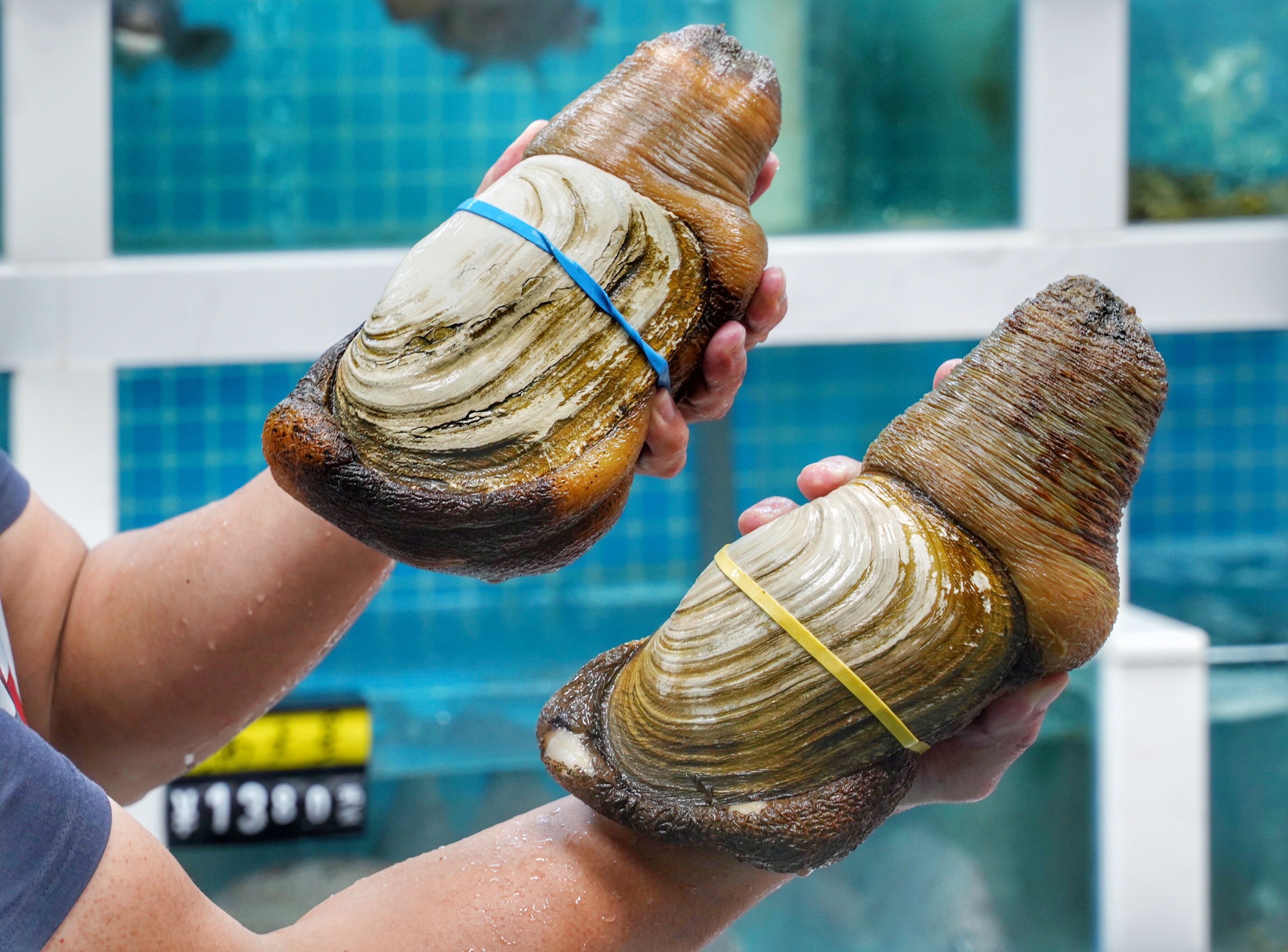 本地人都知道的海鲜大排档，都说来过还想再来