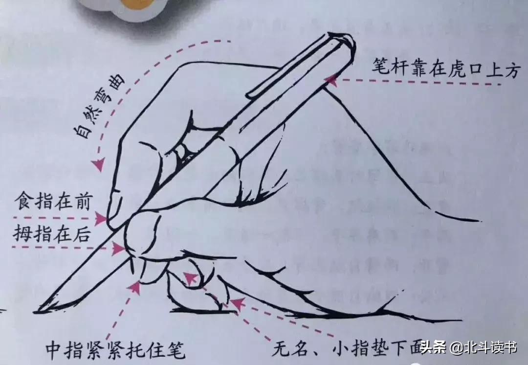 硬笔练字技巧40节课免费领,硬笔练字的方法和技巧