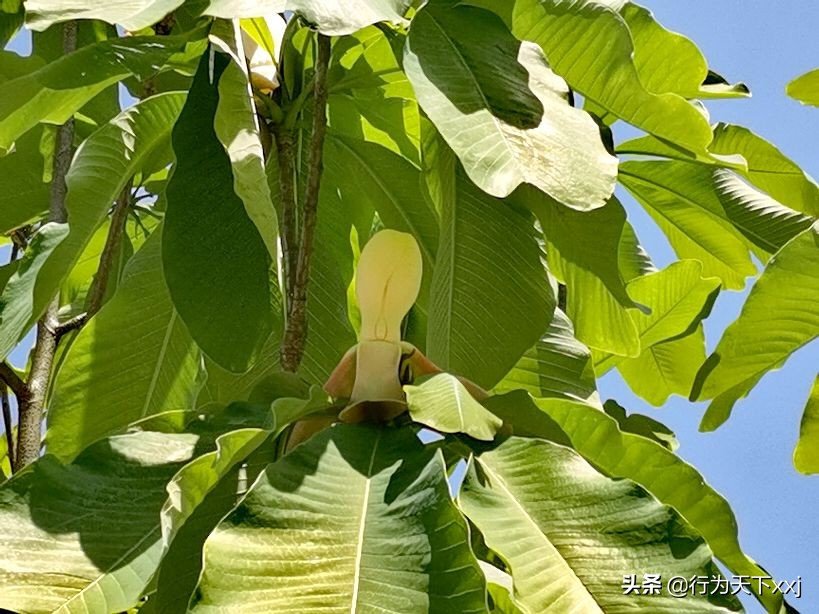 「追梦高山上的禅悟」探秘“南鳌太”越城岭，打卡鬼崽石