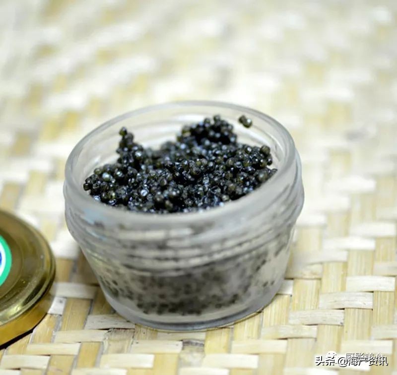 世界十大顶级海鲜品种,全球顶级海鲜食材大赏