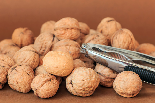 核桃树象征意义多子多福,核桃树红色代表什么