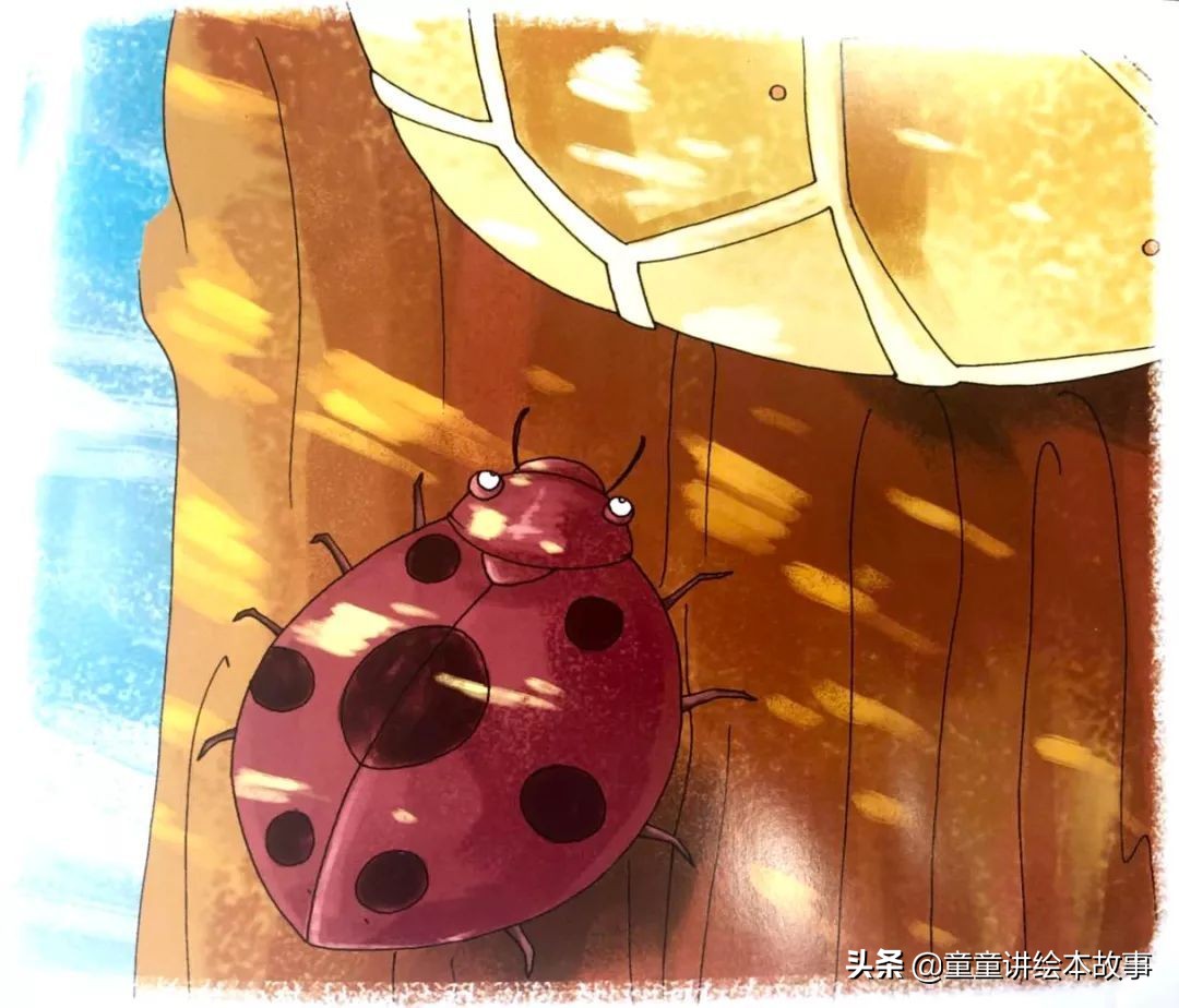 绘本有声故事懒惰的小蜜蜂,劳碌的小蜜蜂绘本故事