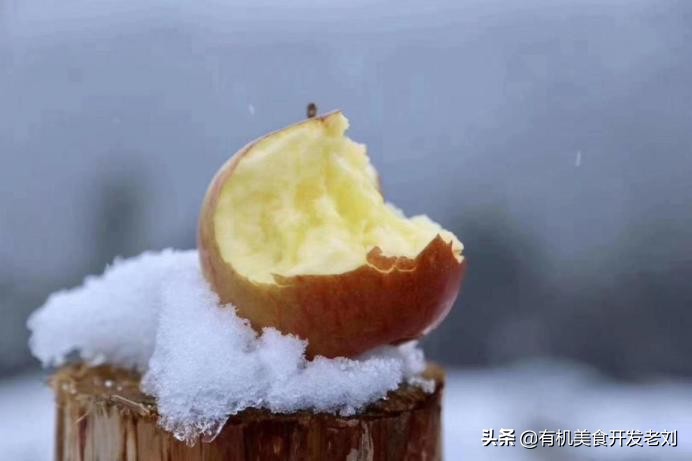 知乎有个小院，种点什么树好哪