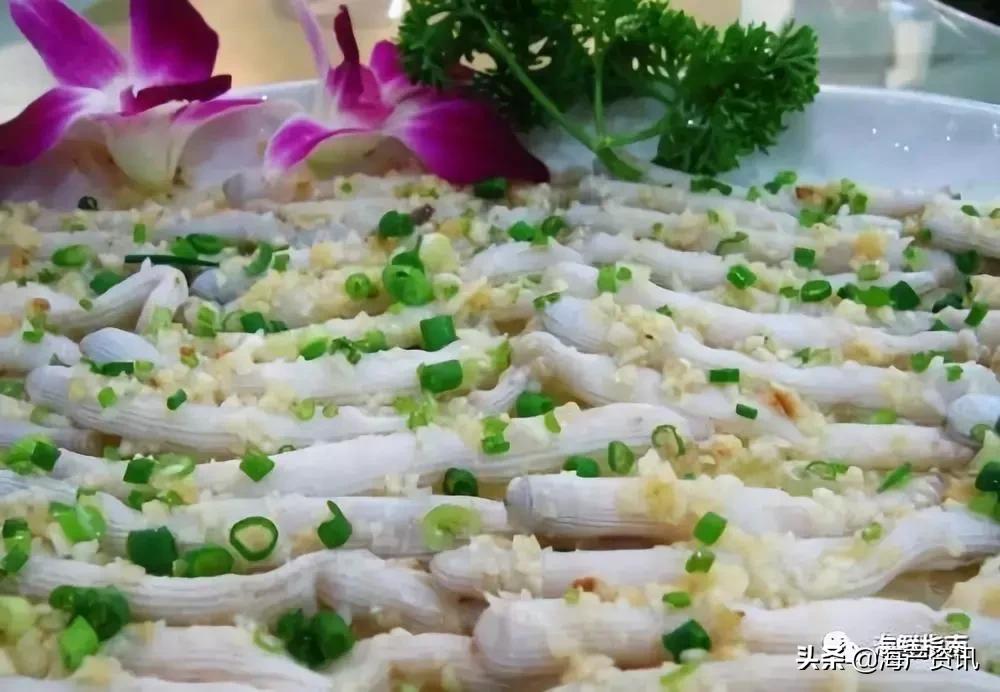 可以吃的海虫都有哪些,沙虫海肠的区别