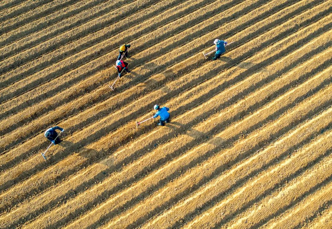 e起助力同心战“疫”——优秀网络作品展示（七）