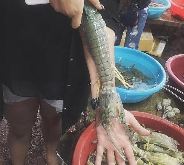 买皮皮虾别只傻傻挑大的！水产老板：看这3处，再也不怕“空壳”