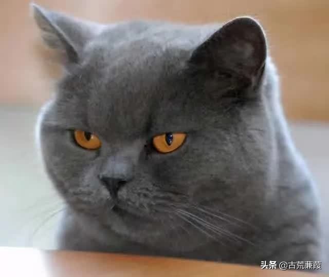 世道轮回因缘际会一切皆有定数,终须有缘到无时莫强求万般皆是命