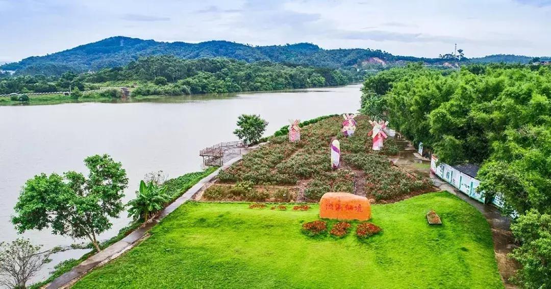 白云高质量打造乡村振兴新模式,乡村振兴四类乡村产业项目