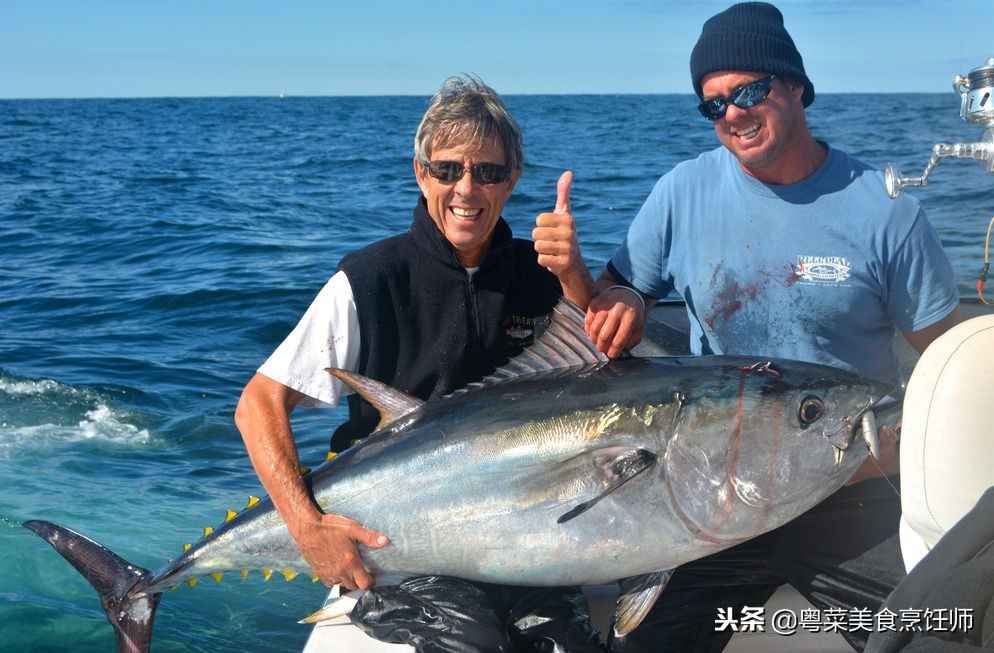 名贵海鲜食材排名,名贵海鱼大全图片