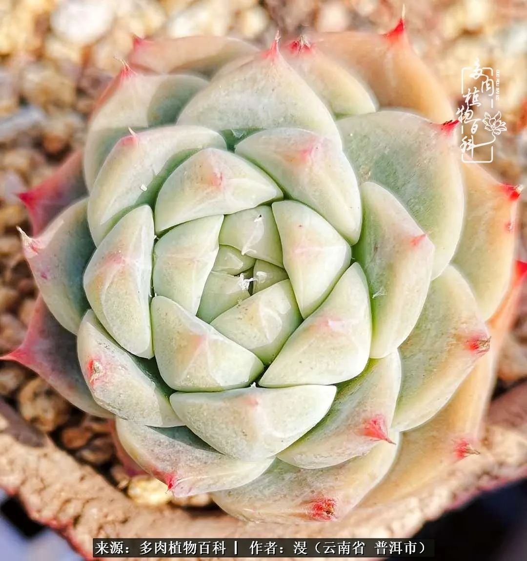 风过留痕讲的啥,风过留痕朗诵