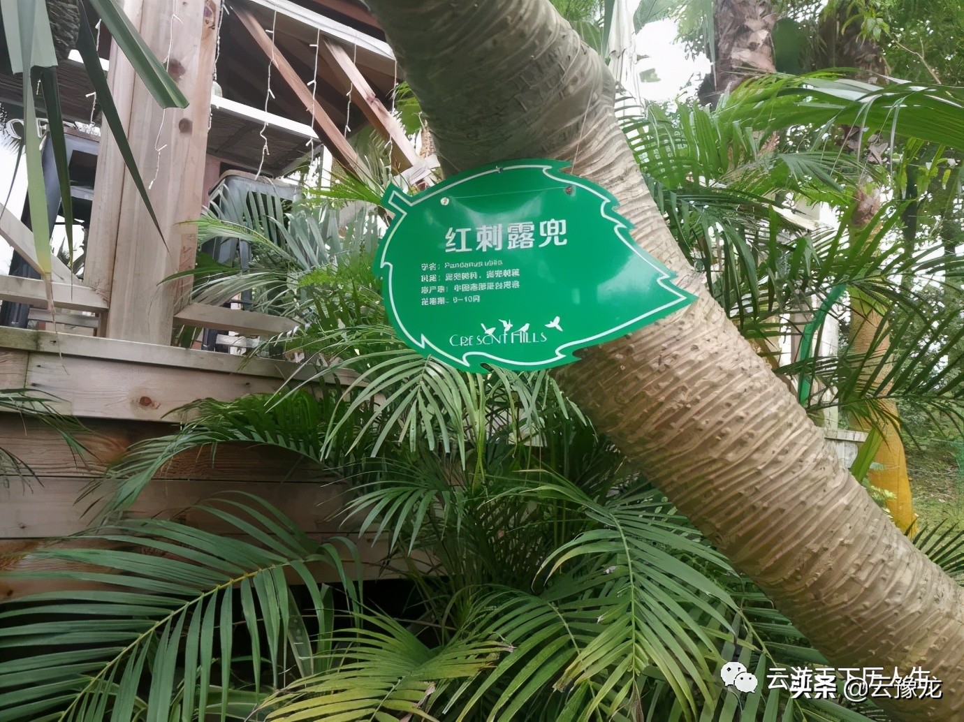 漳州长泰半月山温泉旅游团,漳州半月山温泉度假村