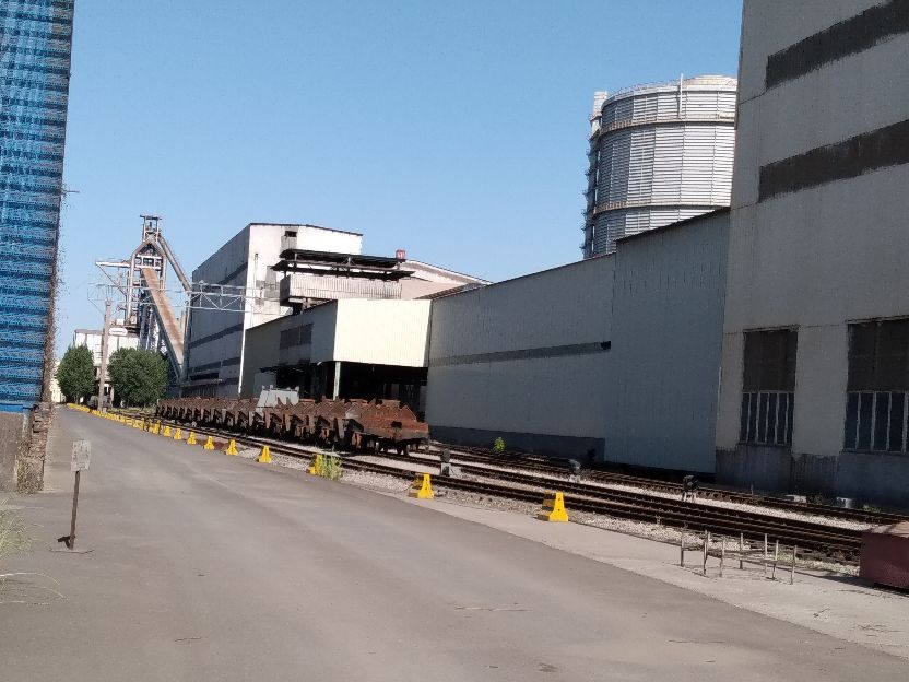 张钢回家,张钢的生活