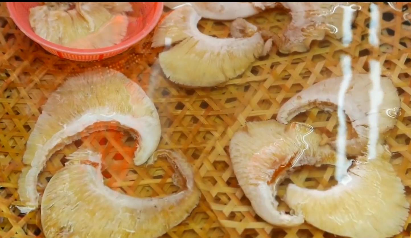 人类割掉鳍的鲨鱼还能活多久,鲨鱼的鳍被割掉后扔回大海