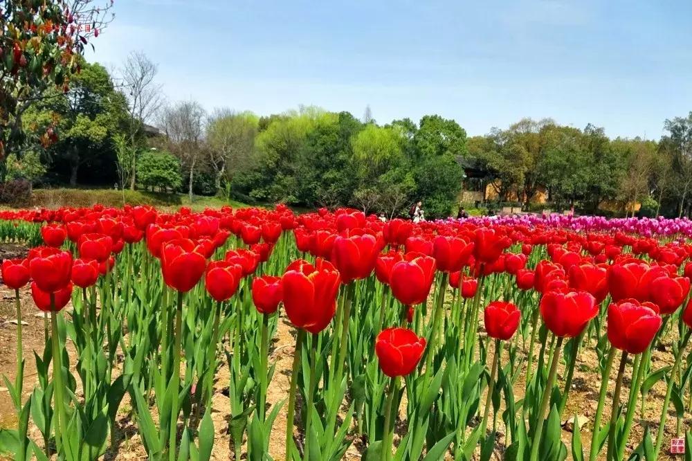 宁波地铁2号线附近游玩点,宁波地铁线旅游攻略