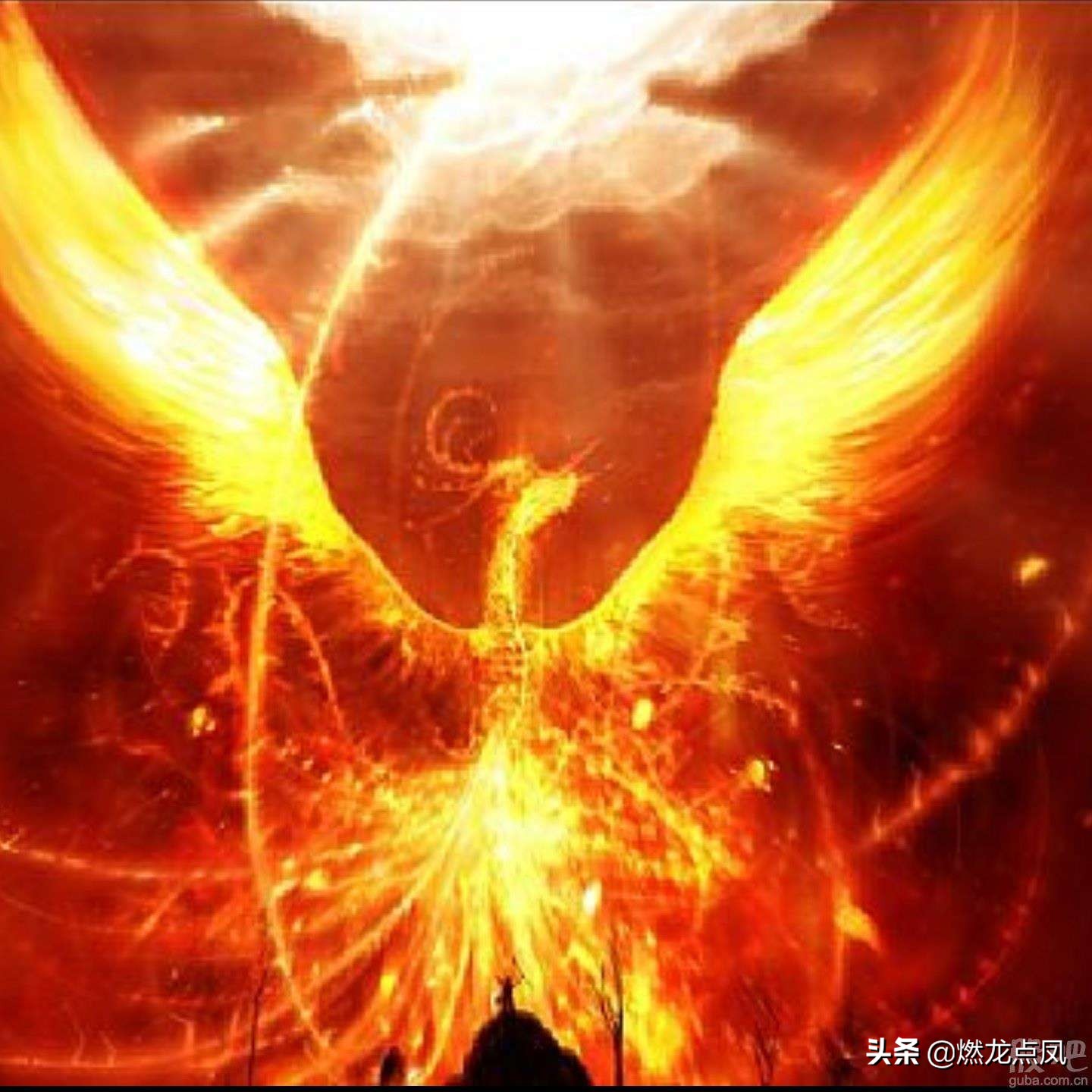 燃龙点凤吉祥物,燃龙点凤表情包动态图