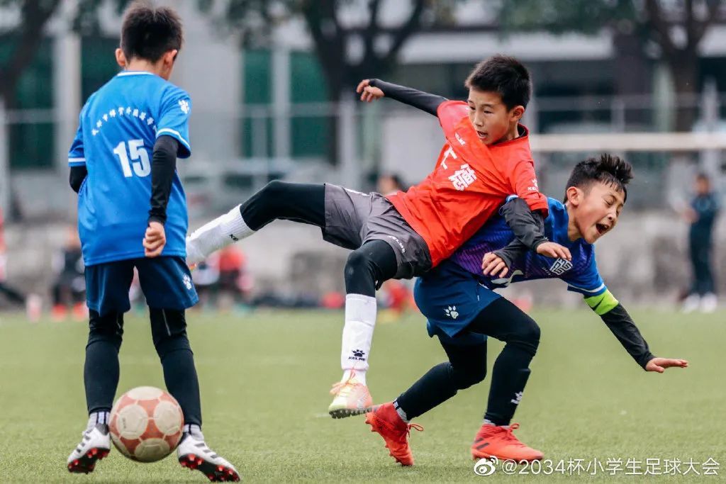 少年足球大赛,2034杯小学生足球大会决赛回放