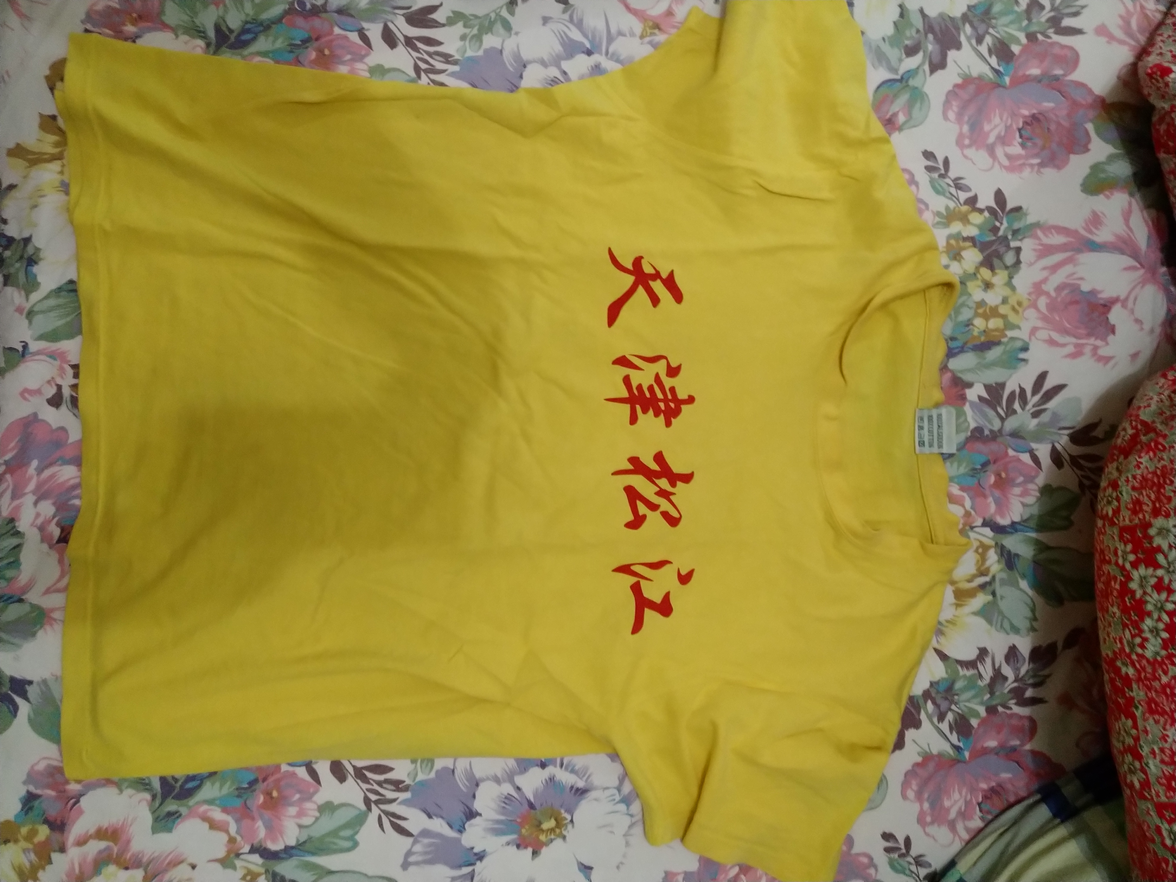 天津球迷球场起哄,2009年中国天津球迷