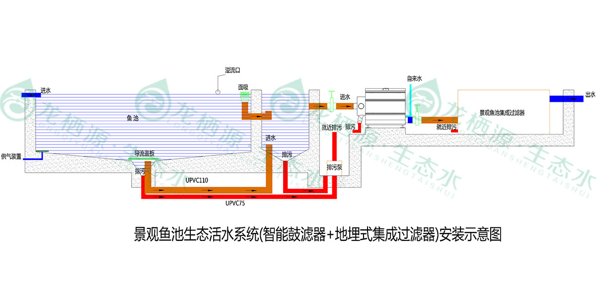 锦鲤鱼池过滤系统的施工过程,锦鲤鱼池过滤系统建造与改造
