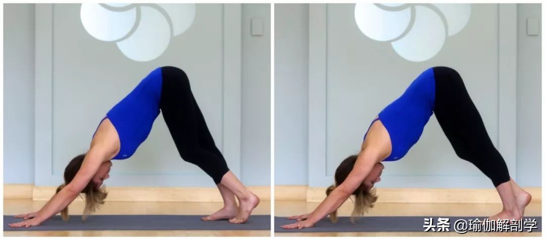 拉伸腿部瘦腿动作完整版,100个瘦腿动作瘦肚子