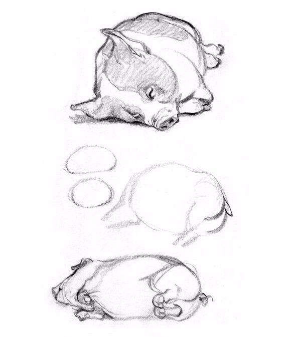 简笔画人物教程大全零基础成人,1000个适合零基础的简笔画教程