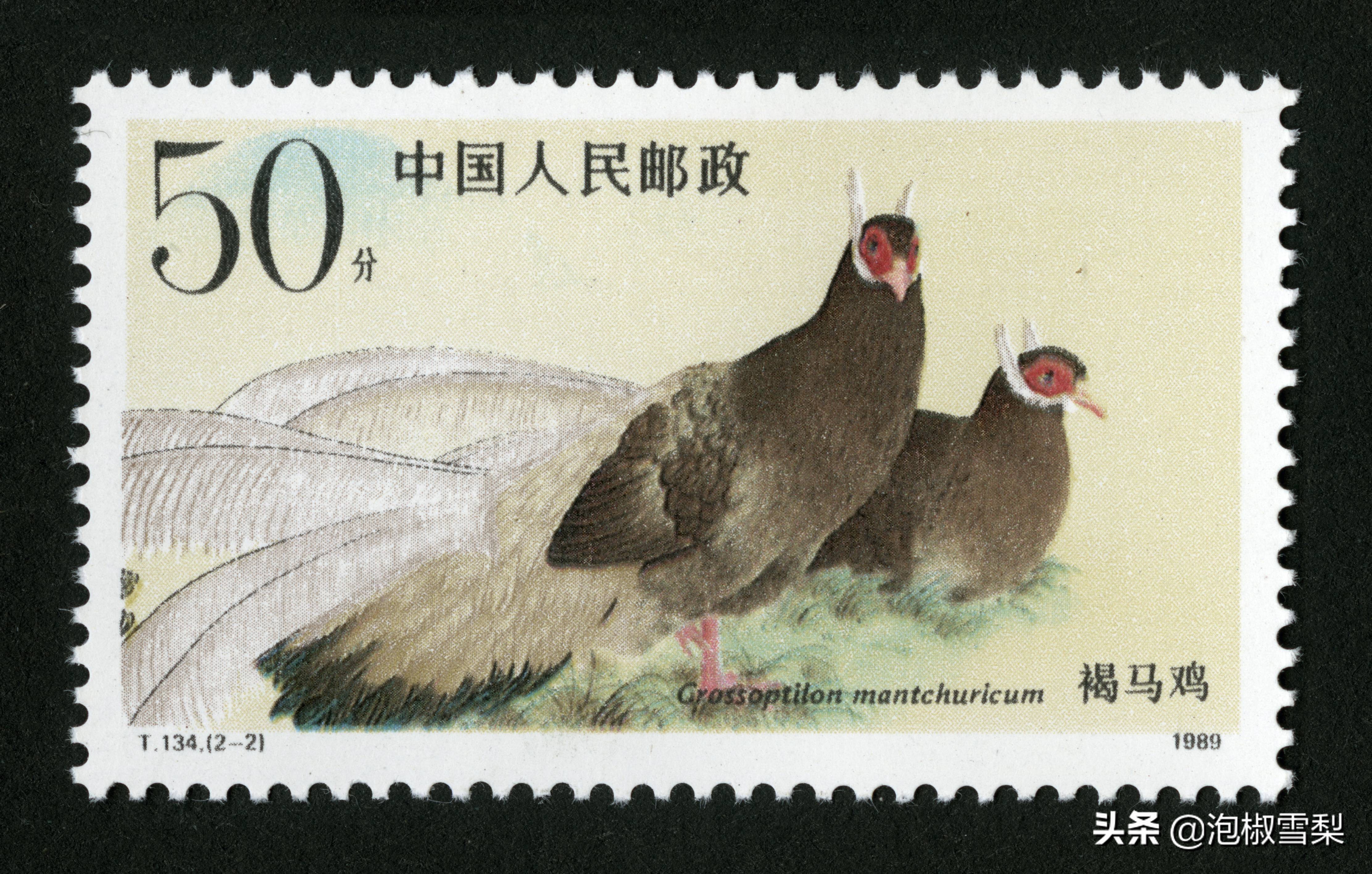 中国1989年发行的全部邮票图片｜正负电子对撞机.火箭.孔子.癌症