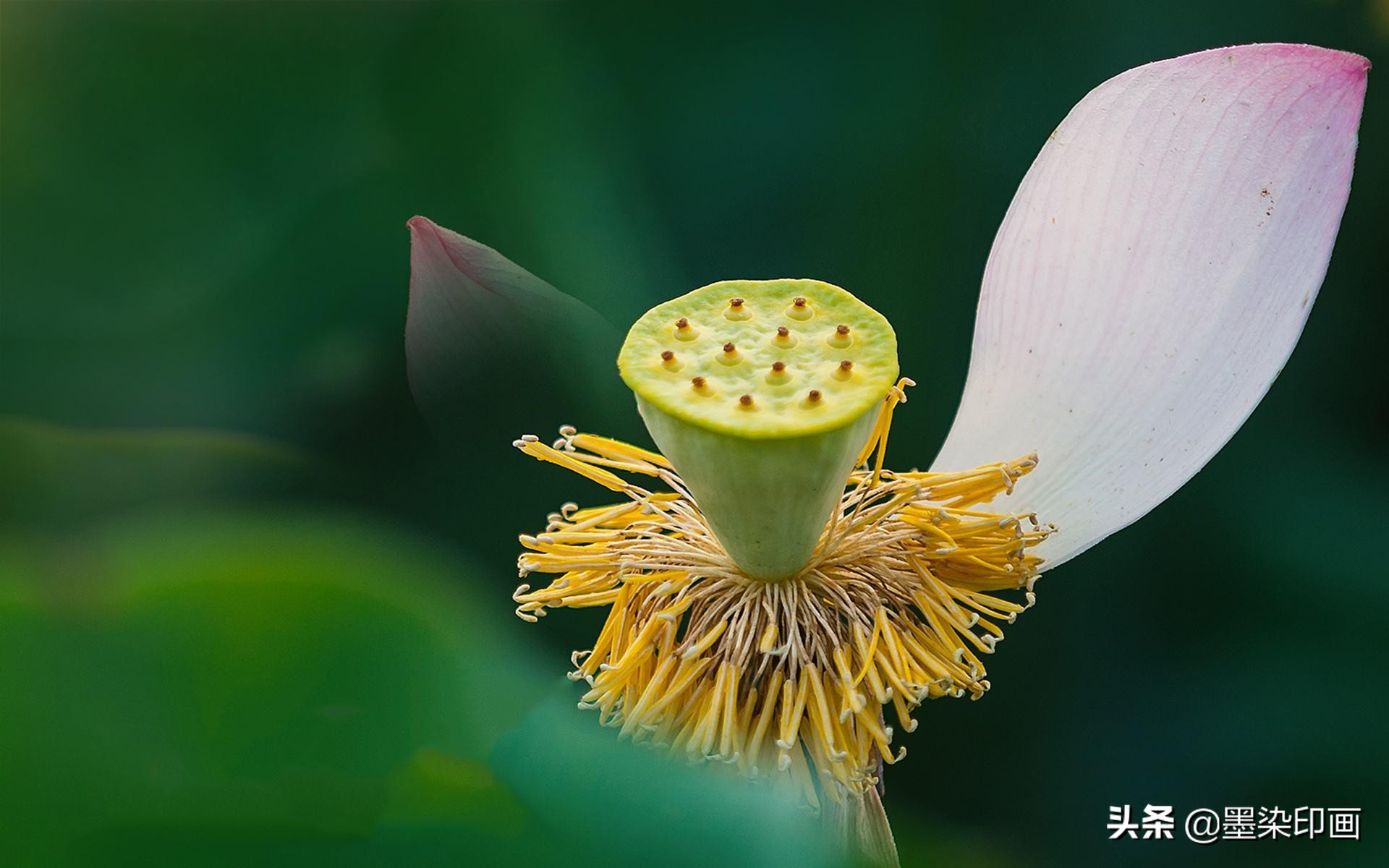 真相曝光补偿和反向曝光补偿区别,曝光补偿调正的还是调成负的好