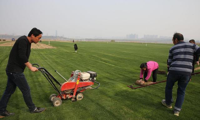 河南小伙好吃懒做,河南小伙放弃百万年薪回家种地