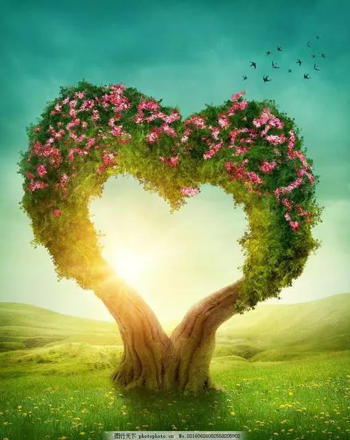 未来的孩子要培养爱商,培养孩子爱的能力比爱本身更重要