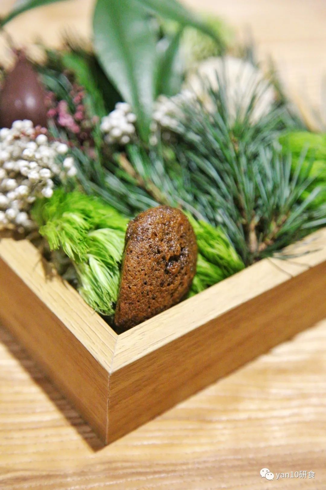 趁没红前，先试为敬，北欧风，法餐调，本土食材演绎的新派中餐