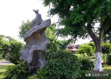 江南园林三大名石,中国清代以来公认的四大园林名石