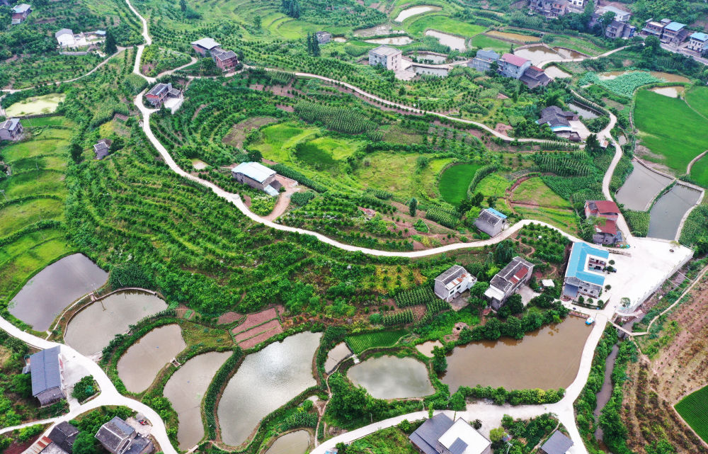 “东风”吹暖大巴山——重庆开州打造鲁渝协作“升级版”见闻