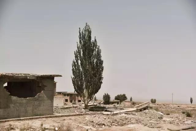 她的美是你无法企及的,她的美是不可方物的美