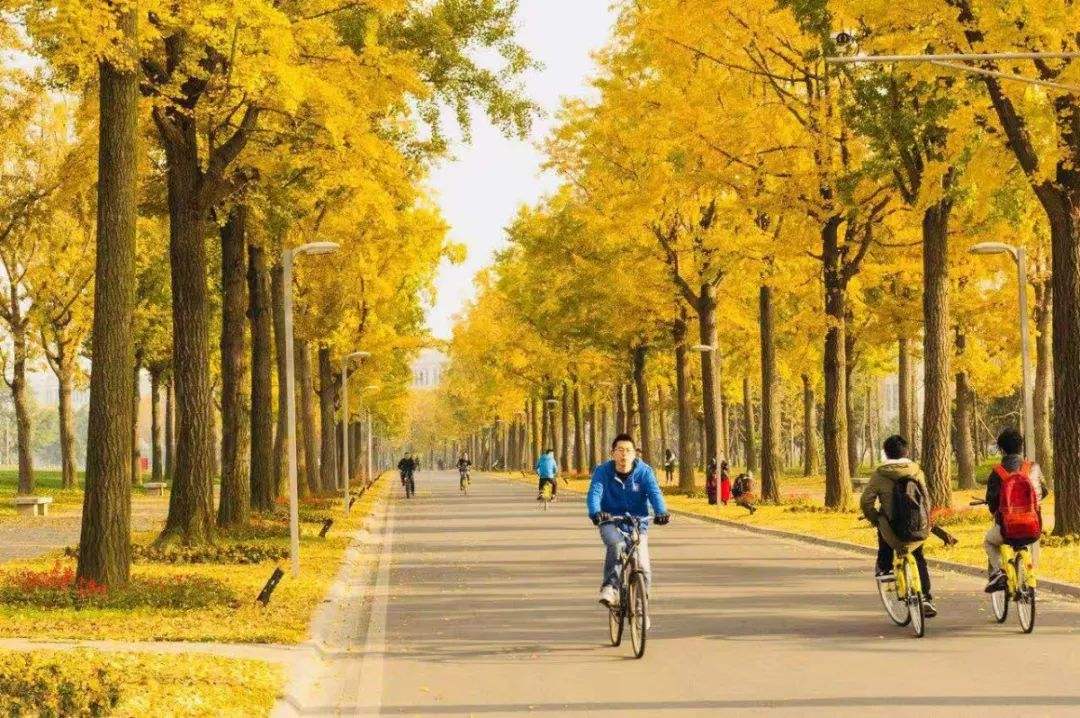 探寻北京老建筑,探秘北京老房子