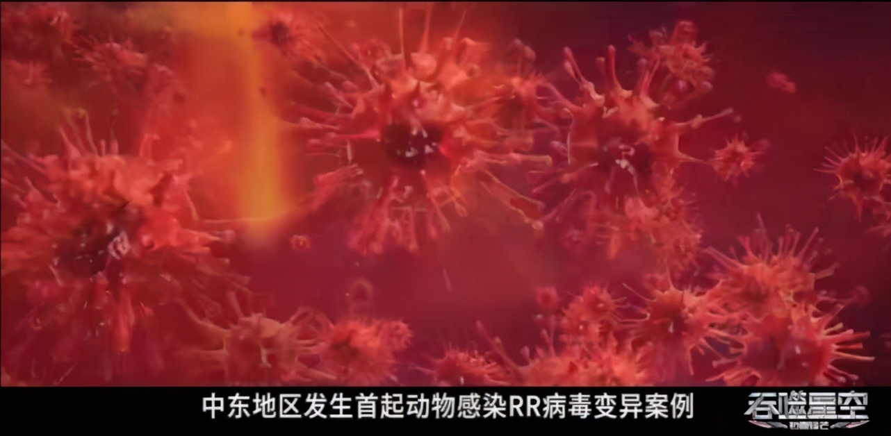 吞噬星空乾坤级战机,吞噬星空玄机科技